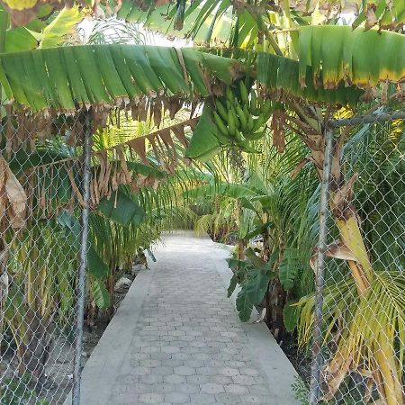 Auberge Pont-Gaudin Gonaives Экстерьер фото